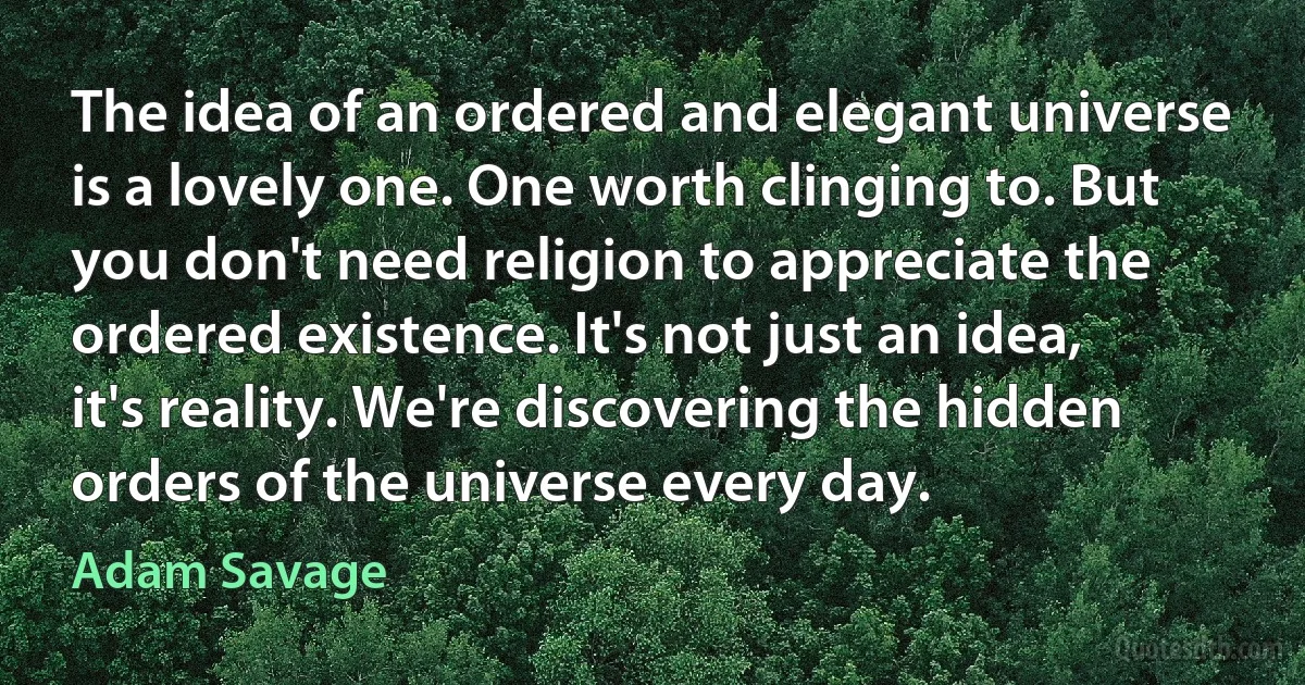 The idea of an ordered and elegant universe is a lovely one. One worth clinging to. But you don't need religion to appreciate the ordered existence. It's not just an idea, it's reality. We're discovering the hidden orders of the universe every day. (Adam Savage)