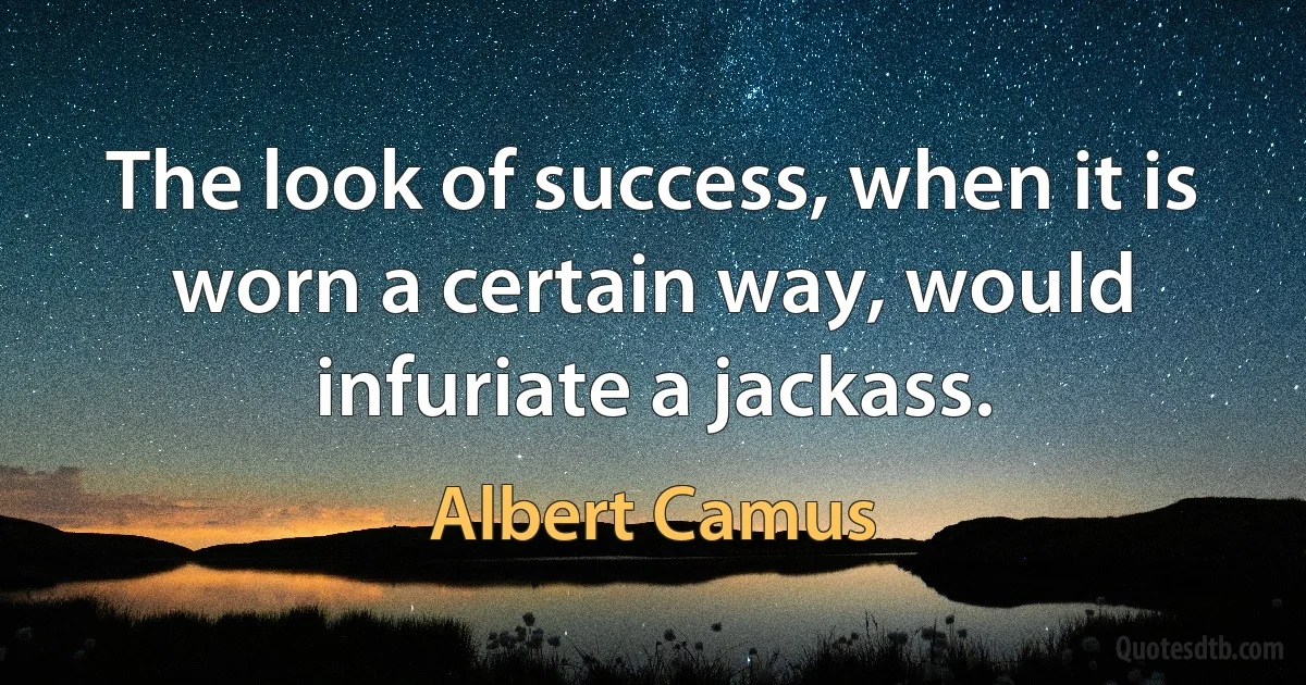 The look of success, when it is worn a certain way, would infuriate a jackass. (Albert Camus)