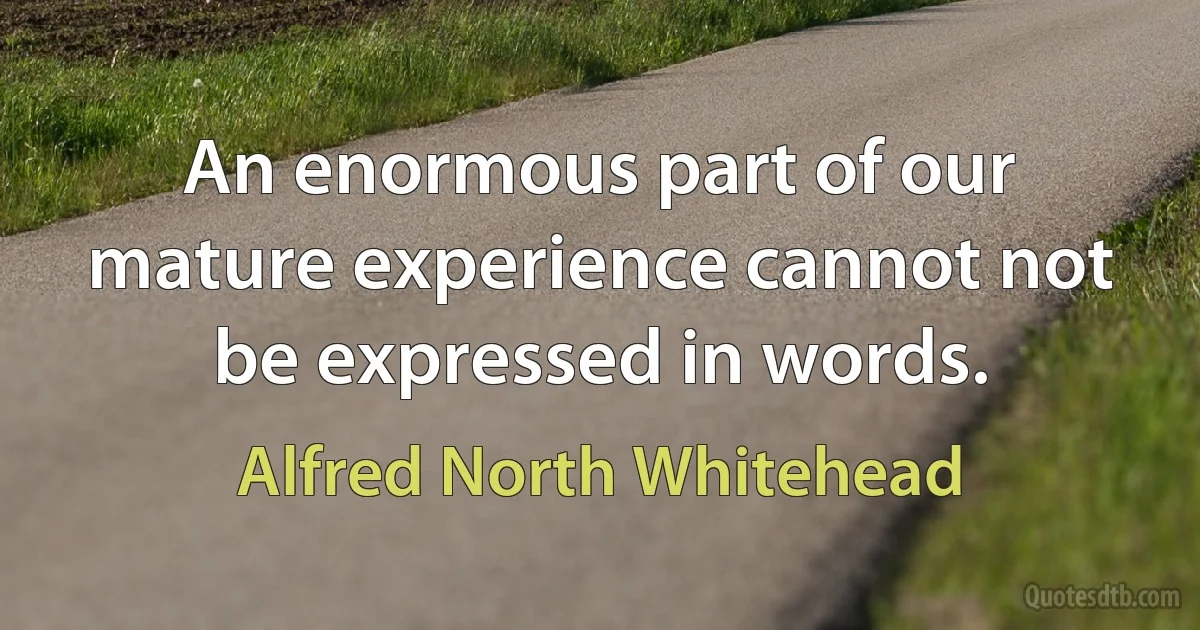 An enormous part of our mature experience cannot not be expressed in words. (Alfred North Whitehead)