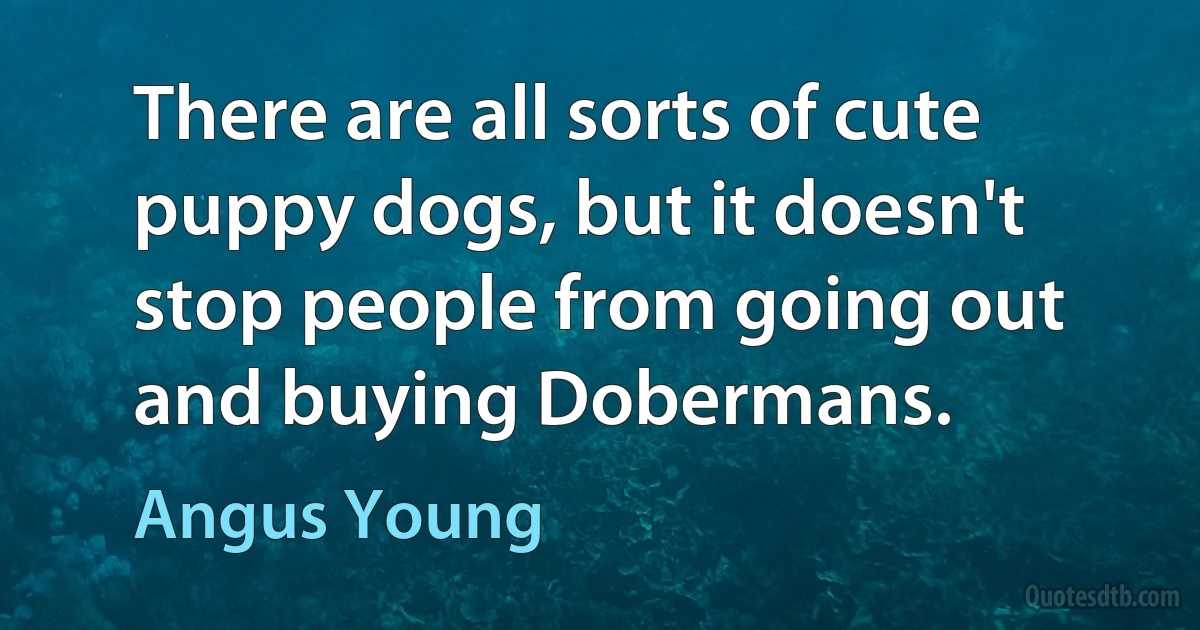 There are all sorts of cute puppy dogs, but it doesn't stop people from going out and buying Dobermans. (Angus Young)