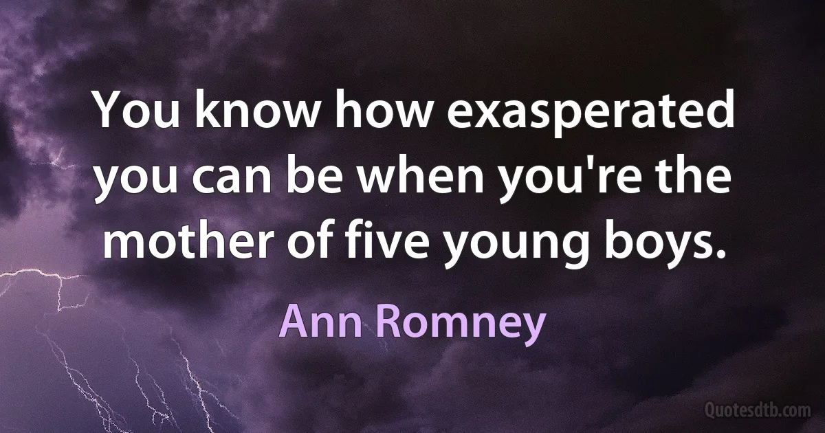 You know how exasperated you can be when you're the mother of five young boys. (Ann Romney)