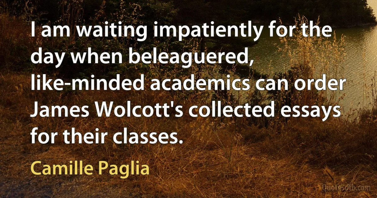 I am waiting impatiently for the day when beleaguered, like-minded academics can order James Wolcott's collected essays for their classes. (Camille Paglia)