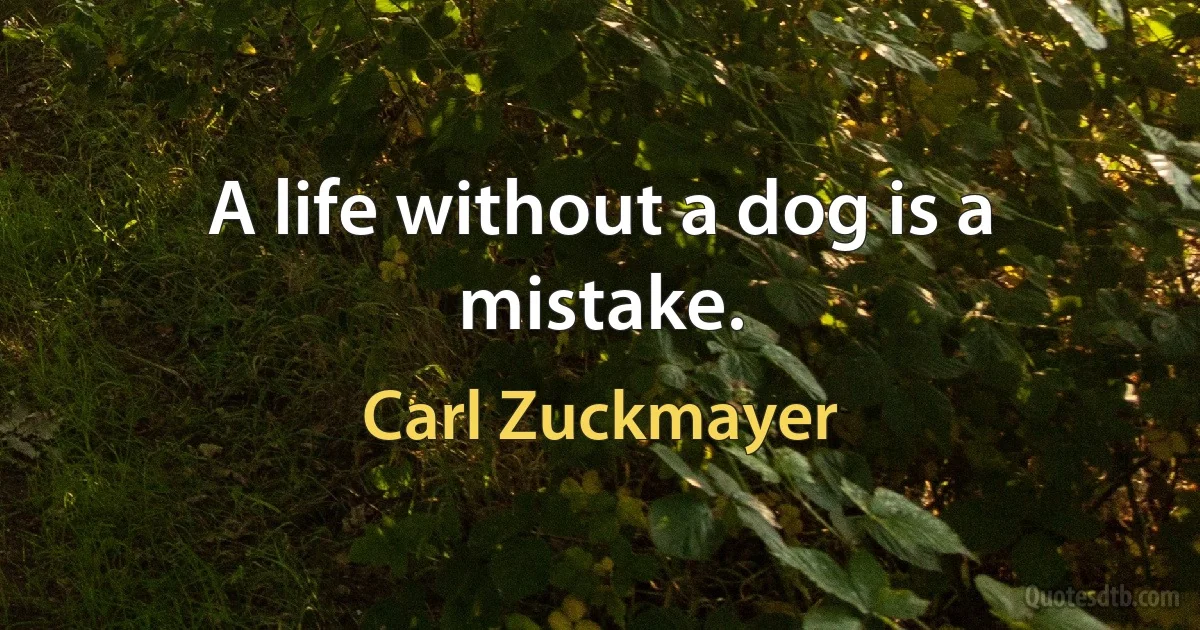 A life without a dog is a mistake. (Carl Zuckmayer)