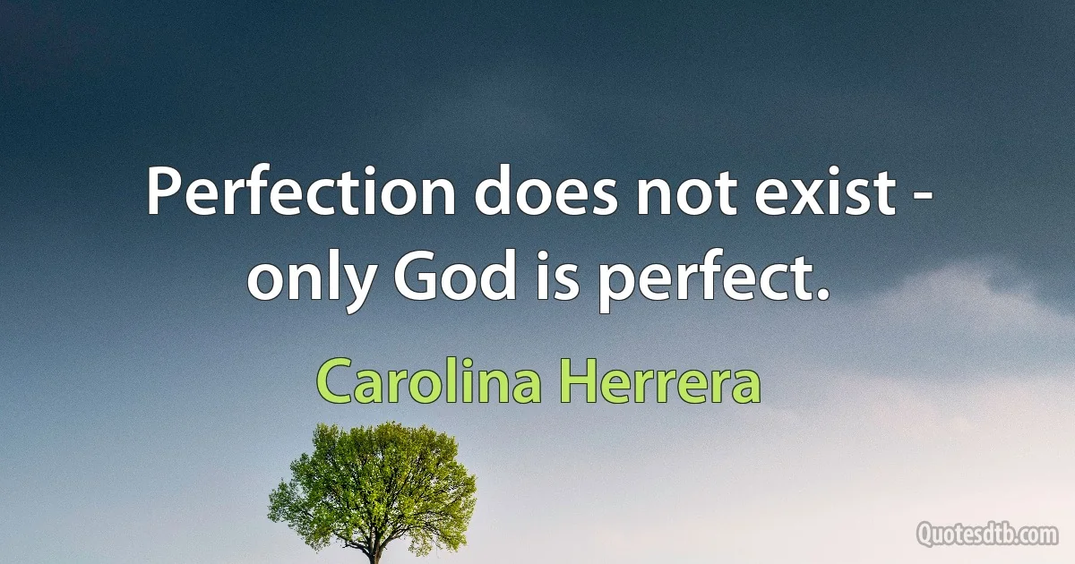 Perfection does not exist - only God is perfect. (Carolina Herrera)