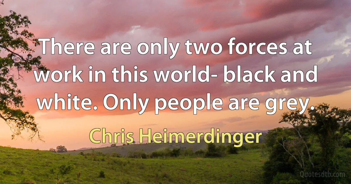 There are only two forces at work in this world- black and white. Only people are grey. (Chris Heimerdinger)