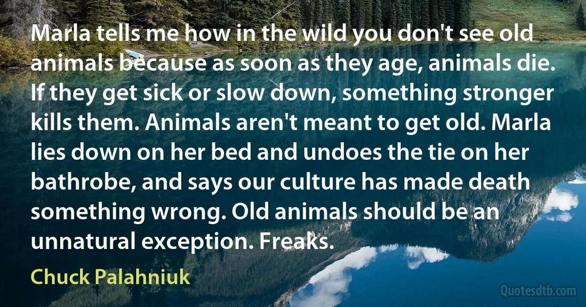 Marla tells me how in the wild you don't see old animals because as soon as they age, animals die. If they get sick or slow down, something stronger kills them. Animals aren't meant to get old. Marla lies down on her bed and undoes the tie on her bathrobe, and says our culture has made death something wrong. Old animals should be an unnatural exception. Freaks. (Chuck Palahniuk)