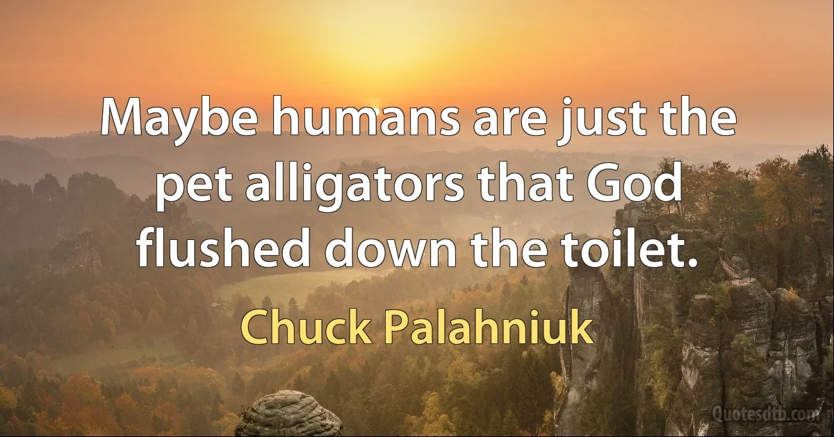 Maybe humans are just the pet alligators that God flushed down the toilet. (Chuck Palahniuk)