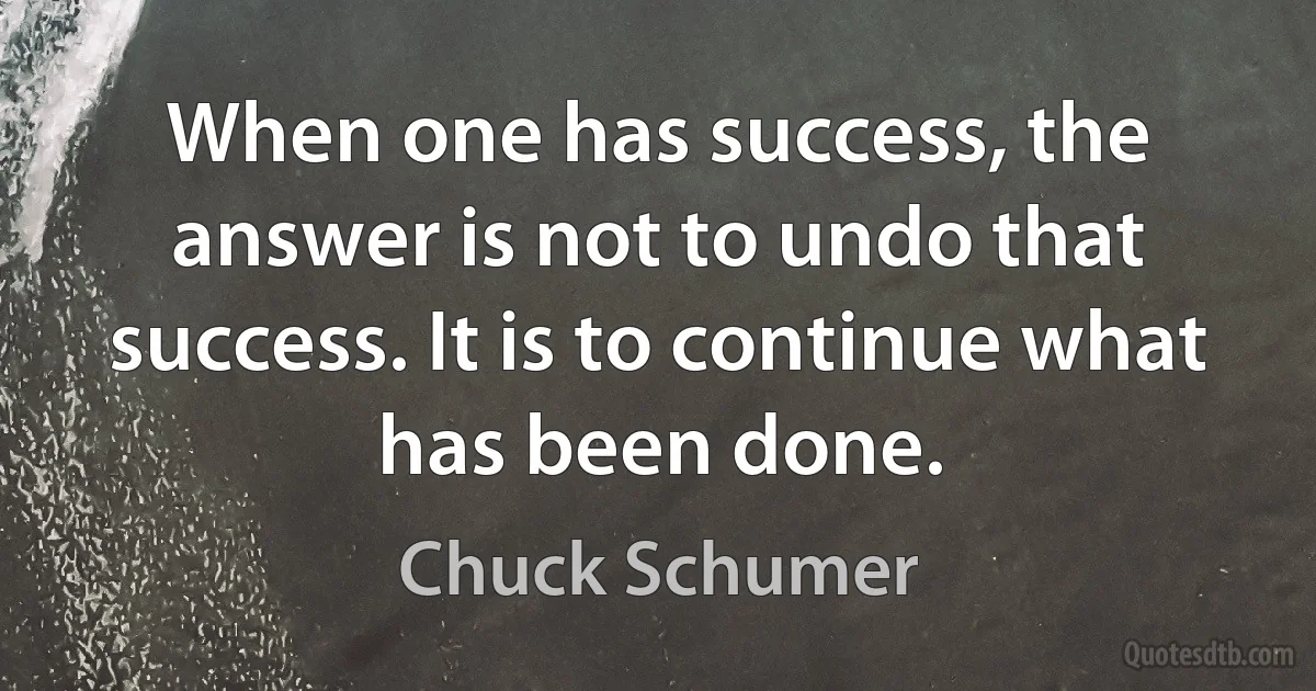 When one has success, the answer is not to undo that success. It is to continue what has been done. (Chuck Schumer)