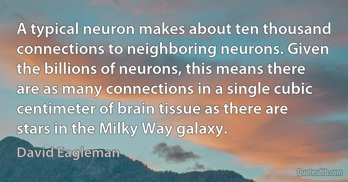 A typical neuron makes about ten thousand connections to neighboring neurons. Given the billions of neurons, this means there are as many connections in a single cubic centimeter of brain tissue as there are stars in the Milky Way galaxy. (David Eagleman)