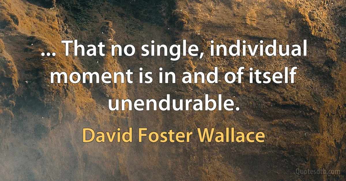 ... That no single, individual moment is in and of itself unendurable. (David Foster Wallace)