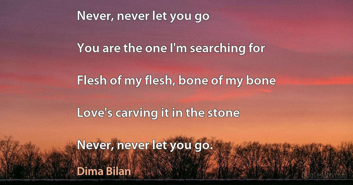 Never, never let you go

You are the one I'm searching for

Flesh of my flesh, bone of my bone

Love's carving it in the stone

Never, never let you go. (Dima Bilan)