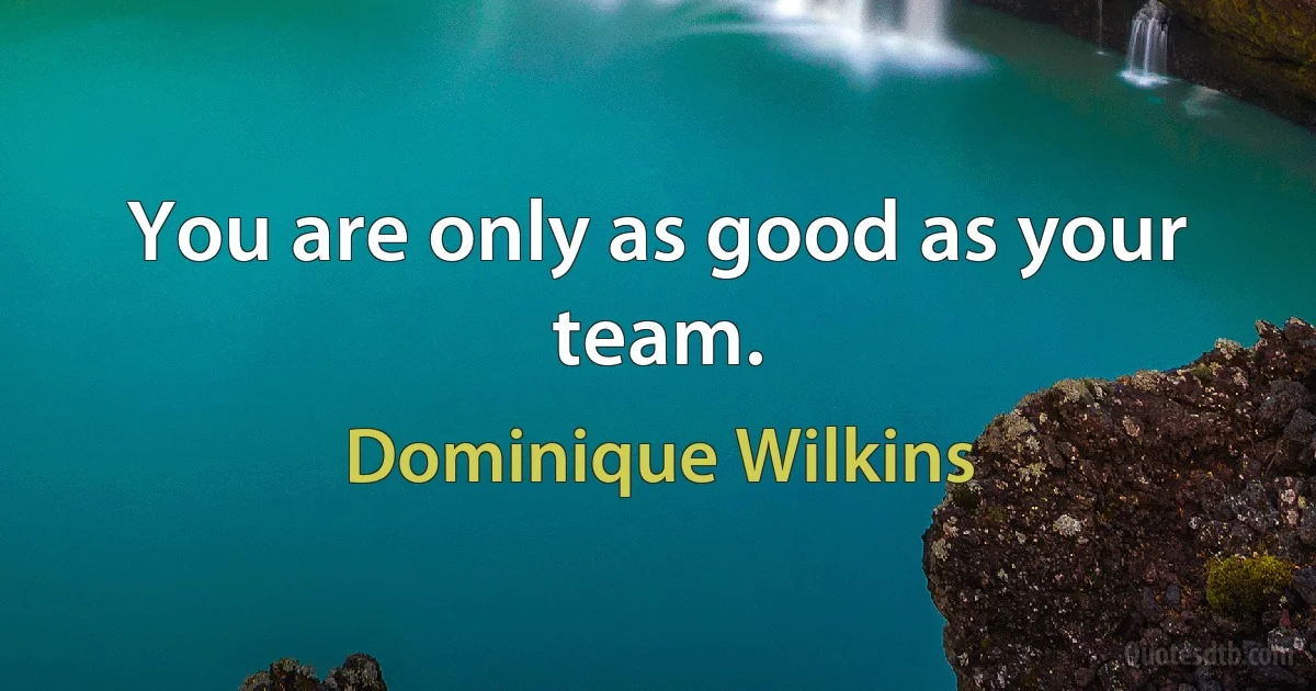 You are only as good as your team. (Dominique Wilkins)