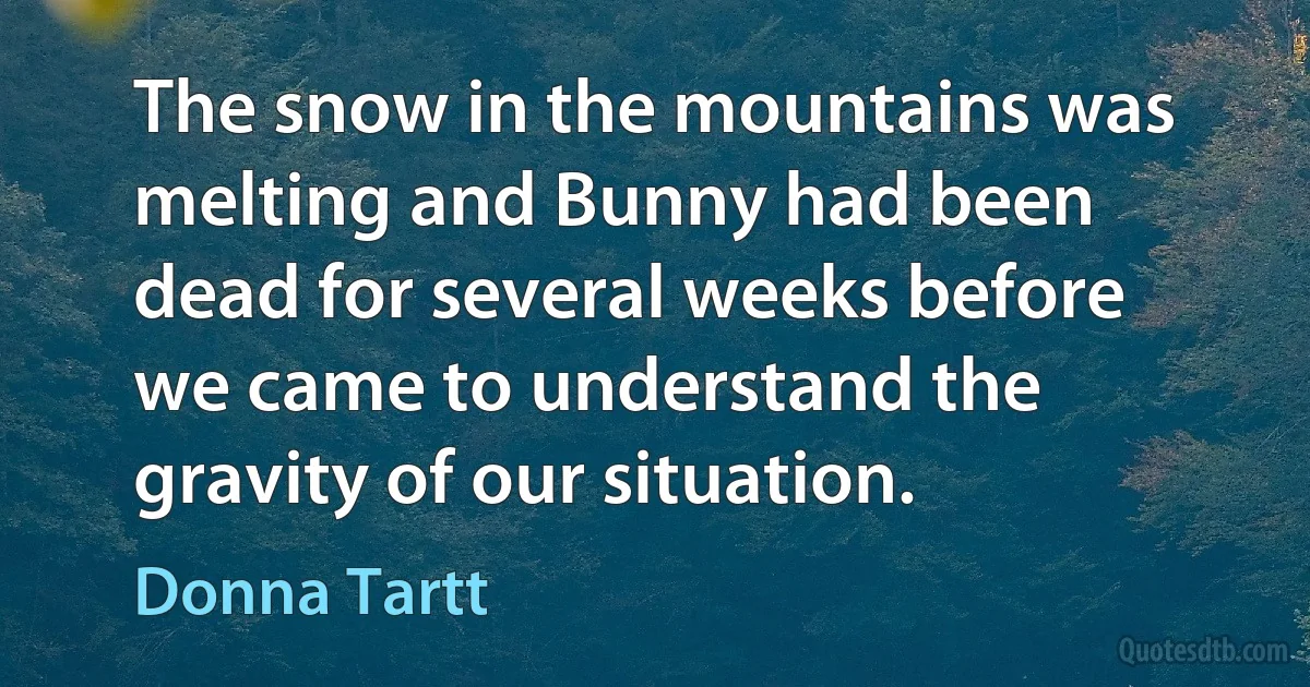 The snow in the mountains was melting and Bunny had been dead for several weeks before we came to understand the gravity of our situation. (Donna Tartt)