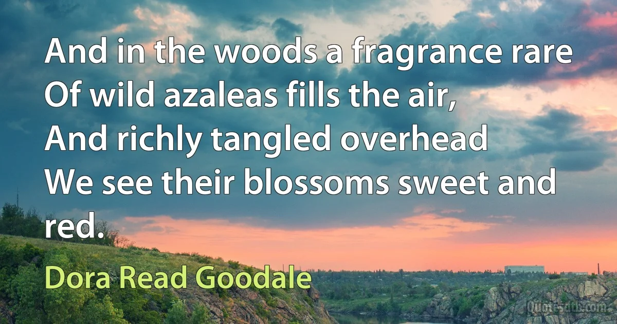 And in the woods a fragrance rare
Of wild azaleas fills the air,
And richly tangled overhead
We see their blossoms sweet and red. (Dora Read Goodale)