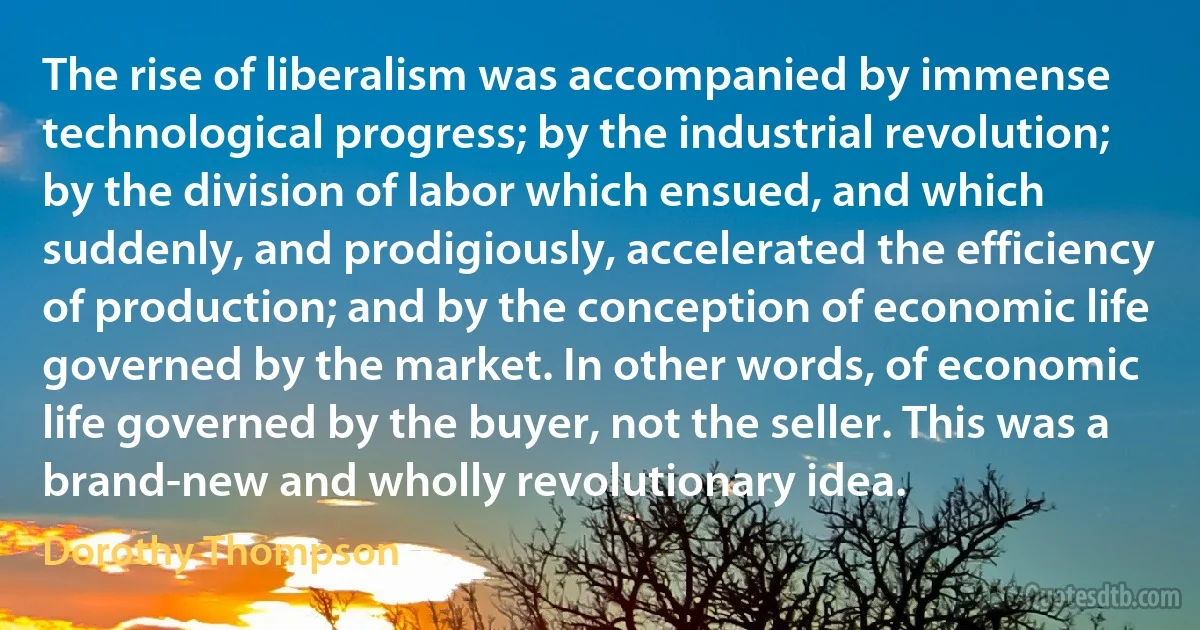 The rise of liberalism was accompanied by immense technological progress; by the industrial revolution; by the division of labor which ensued, and which suddenly, and prodigiously, accelerated the efficiency of production; and by the conception of economic life governed by the market. In other words, of economic life governed by the buyer, not the seller. This was a brand-new and wholly revolutionary idea. (Dorothy Thompson)