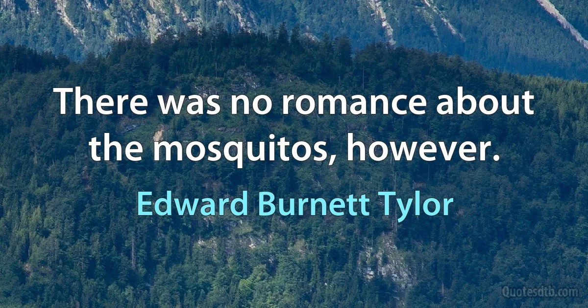 There was no romance about the mosquitos, however. (Edward Burnett Tylor)