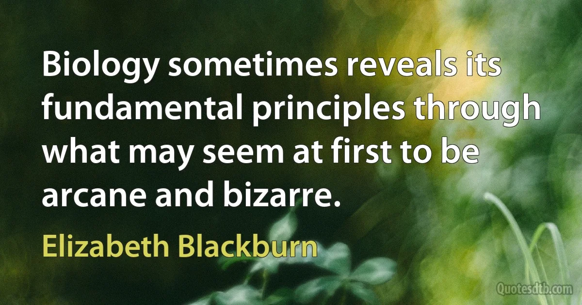 Biology sometimes reveals its fundamental principles through what may seem at first to be arcane and bizarre. (Elizabeth Blackburn)