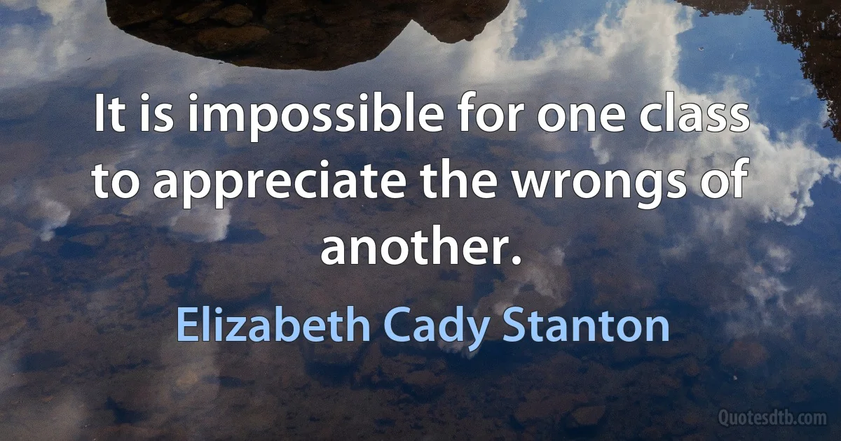 It is impossible for one class to appreciate the wrongs of another. (Elizabeth Cady Stanton)