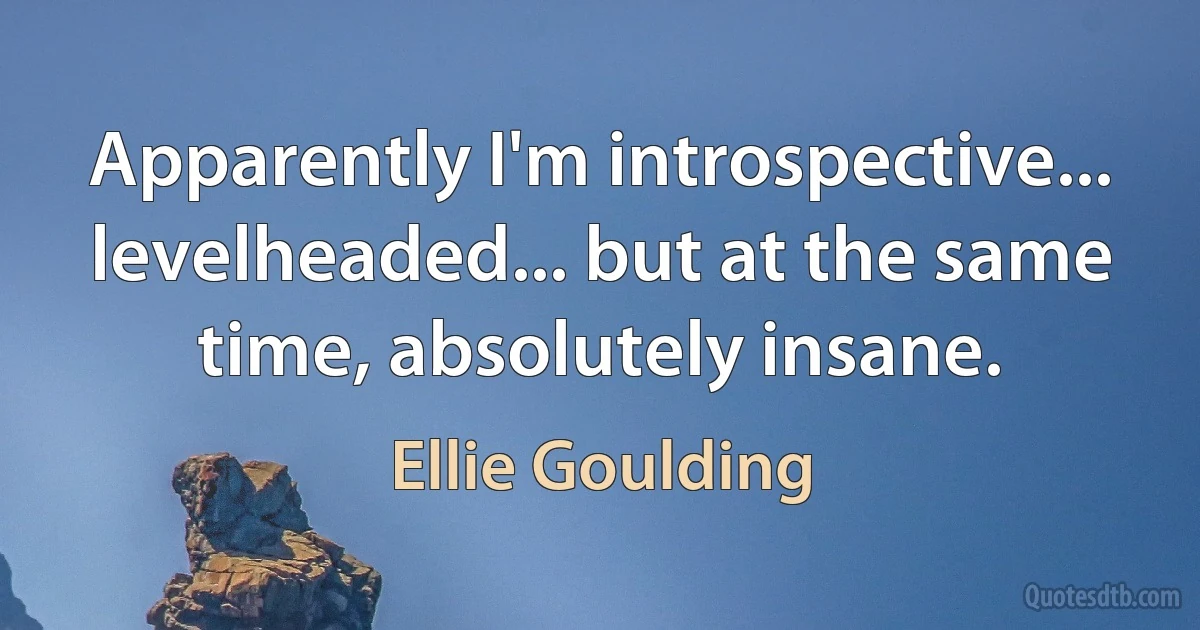 Apparently I'm introspective... levelheaded... but at the same time, absolutely insane. (Ellie Goulding)