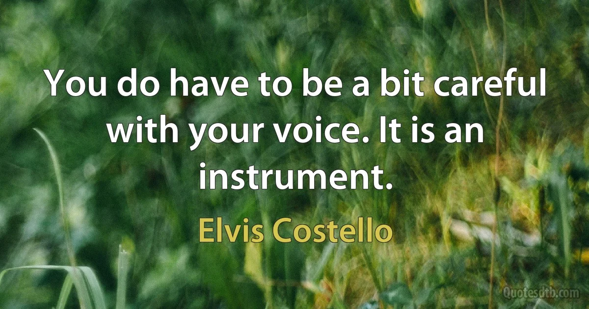 You do have to be a bit careful with your voice. It is an instrument. (Elvis Costello)