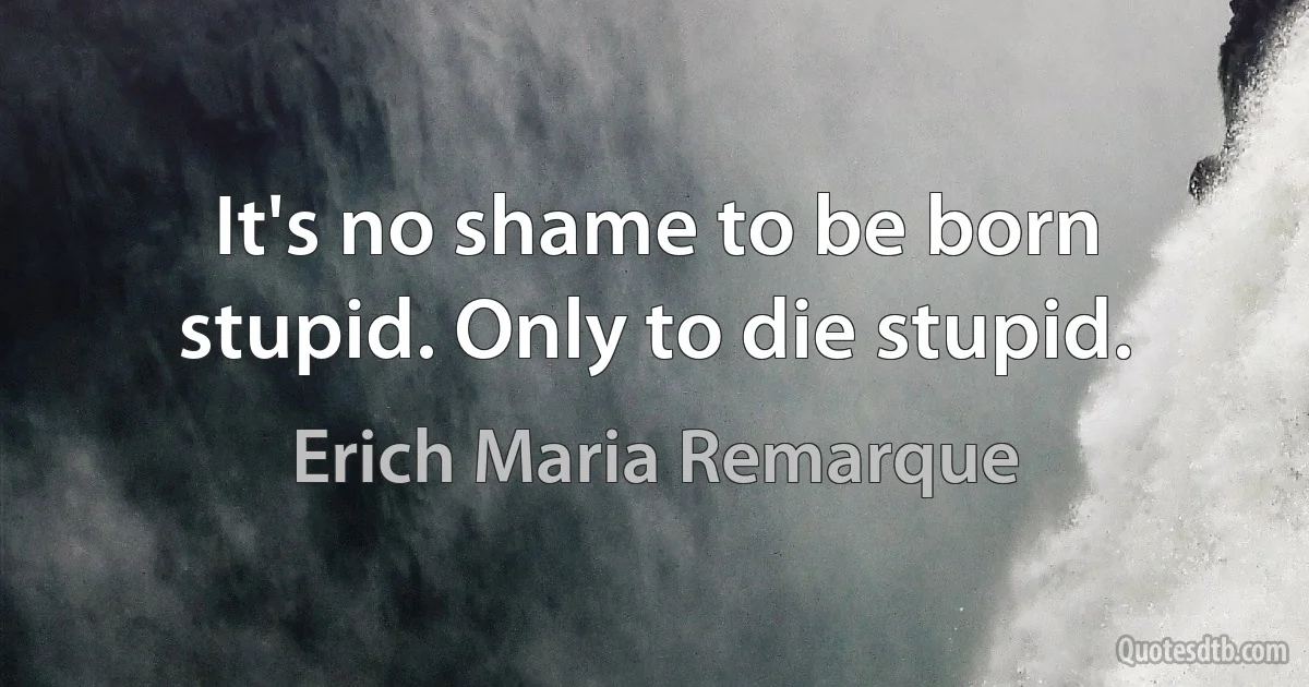 It's no shame to be born stupid. Only to die stupid. (Erich Maria Remarque)