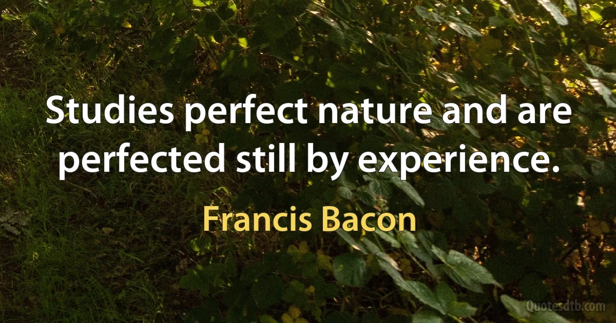 Studies perfect nature and are perfected still by experience. (Francis Bacon)