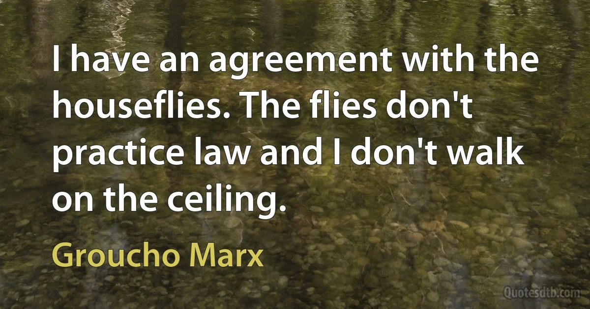 I have an agreement with the houseflies. The flies don't practice law and I don't walk on the ceiling. (Groucho Marx)