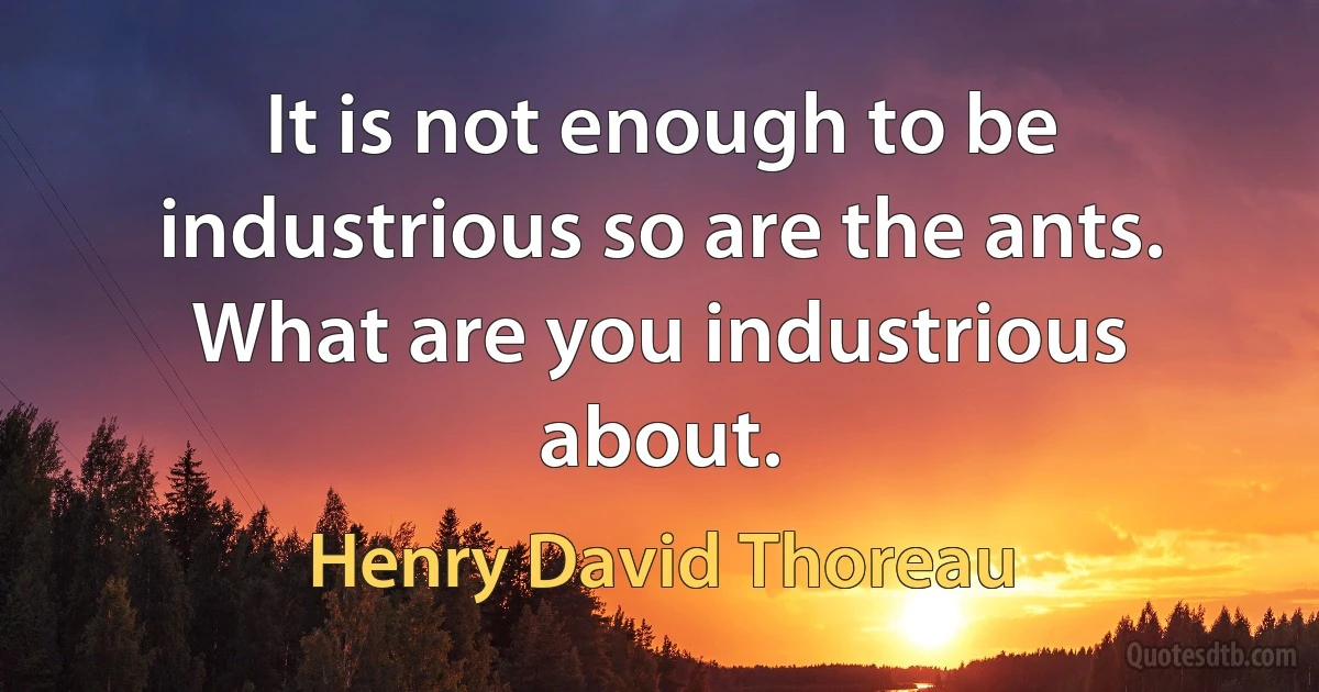 It is not enough to be industrious so are the ants. What are you industrious about. (Henry David Thoreau)