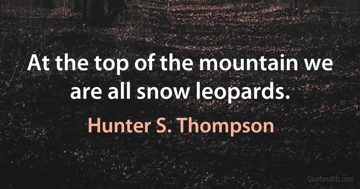 At the top of the mountain we are all snow leopards. (Hunter S. Thompson)