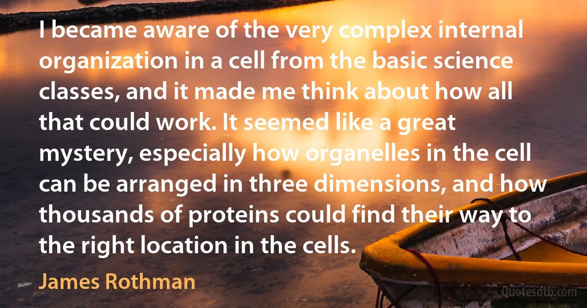 I became aware of the very complex internal organization in a cell from the basic science classes, and it made me think about how all that could work. It seemed like a great mystery, especially how organelles in the cell can be arranged in three dimensions, and how thousands of proteins could find their way to the right location in the cells. (James Rothman)