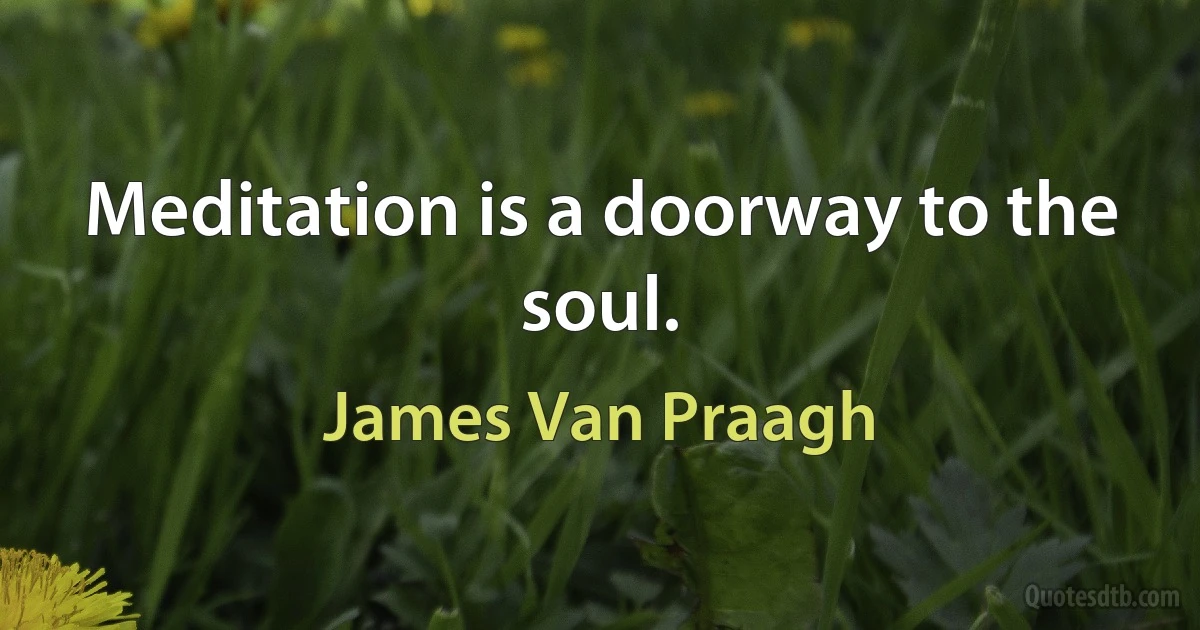 Meditation is a doorway to the soul. (James Van Praagh)