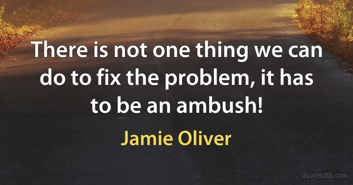 There is not one thing we can do to fix the problem, it has to be an ambush! (Jamie Oliver)