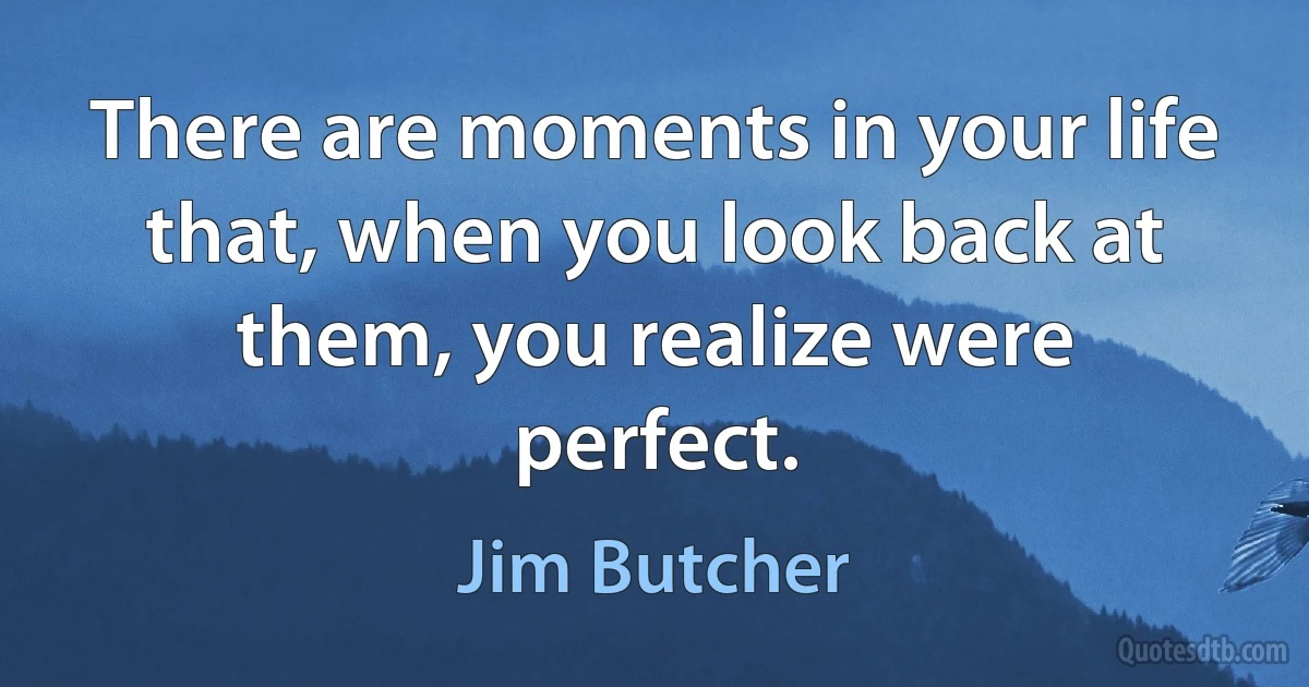 There are moments in your life that, when you look back at them, you realize were perfect. (Jim Butcher)