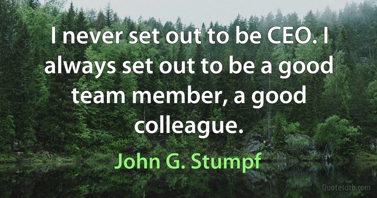 I never set out to be CEO. I always set out to be a good team member, a good colleague. (John G. Stumpf)