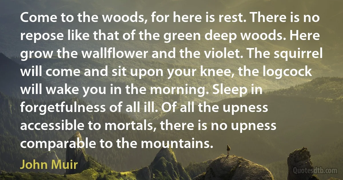 Come to the woods, for here is rest. There is no repose like that of the green deep woods. Here grow the wallflower and the violet. The squirrel will come and sit upon your knee, the logcock will wake you in the morning. Sleep in forgetfulness of all ill. Of all the upness accessible to mortals, there is no upness comparable to the mountains. (John Muir)