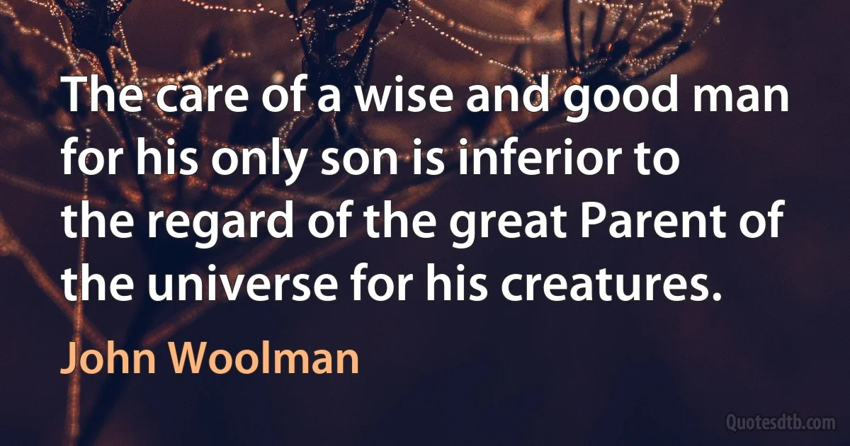 The care of a wise and good man for his only son is inferior to the regard of the great Parent of the universe for his creatures. (John Woolman)