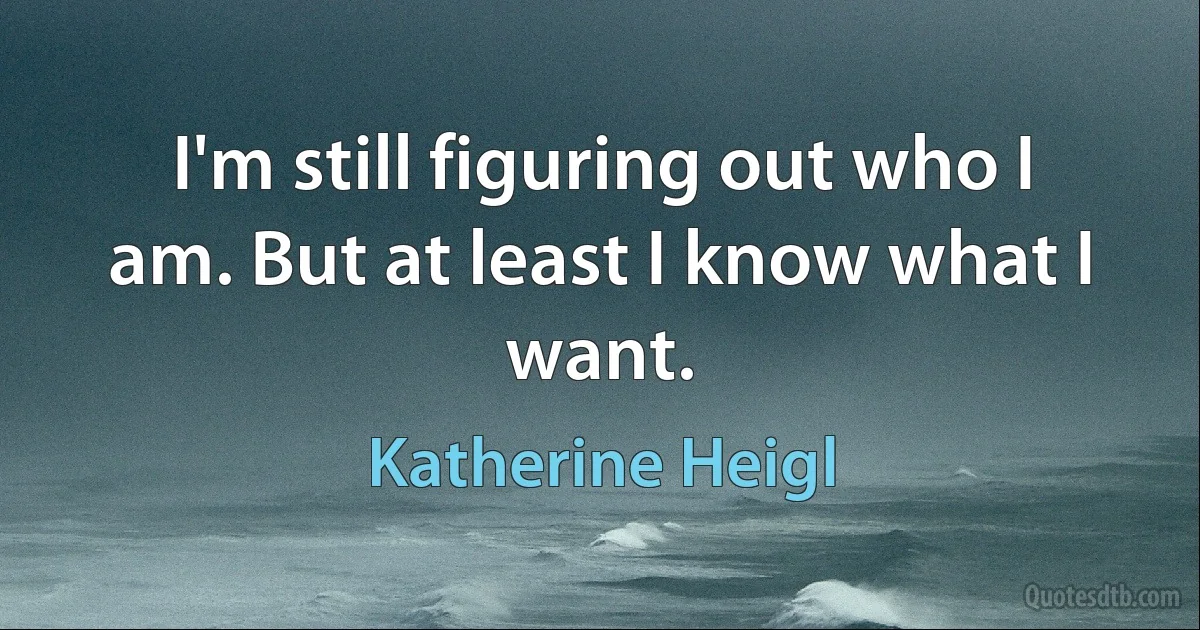 I'm still figuring out who I am. But at least I know what I want. (Katherine Heigl)