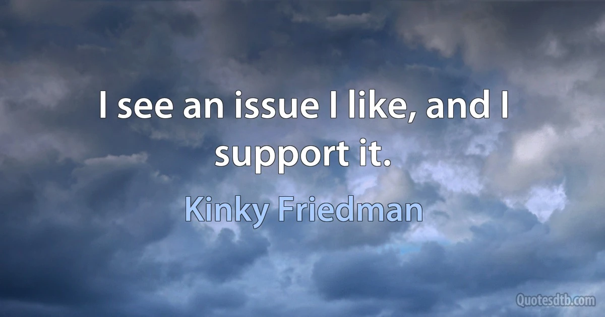 I see an issue I like, and I support it. (Kinky Friedman)