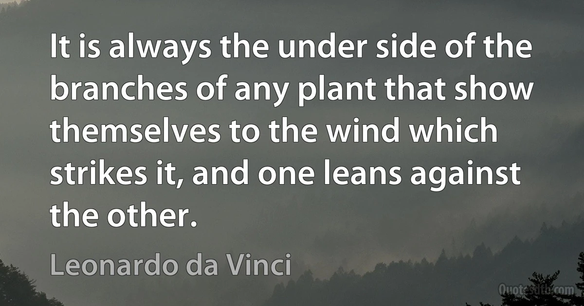 It is always the under side of the branches of any plant that show themselves to the wind which strikes it, and one leans against the other. (Leonardo da Vinci)