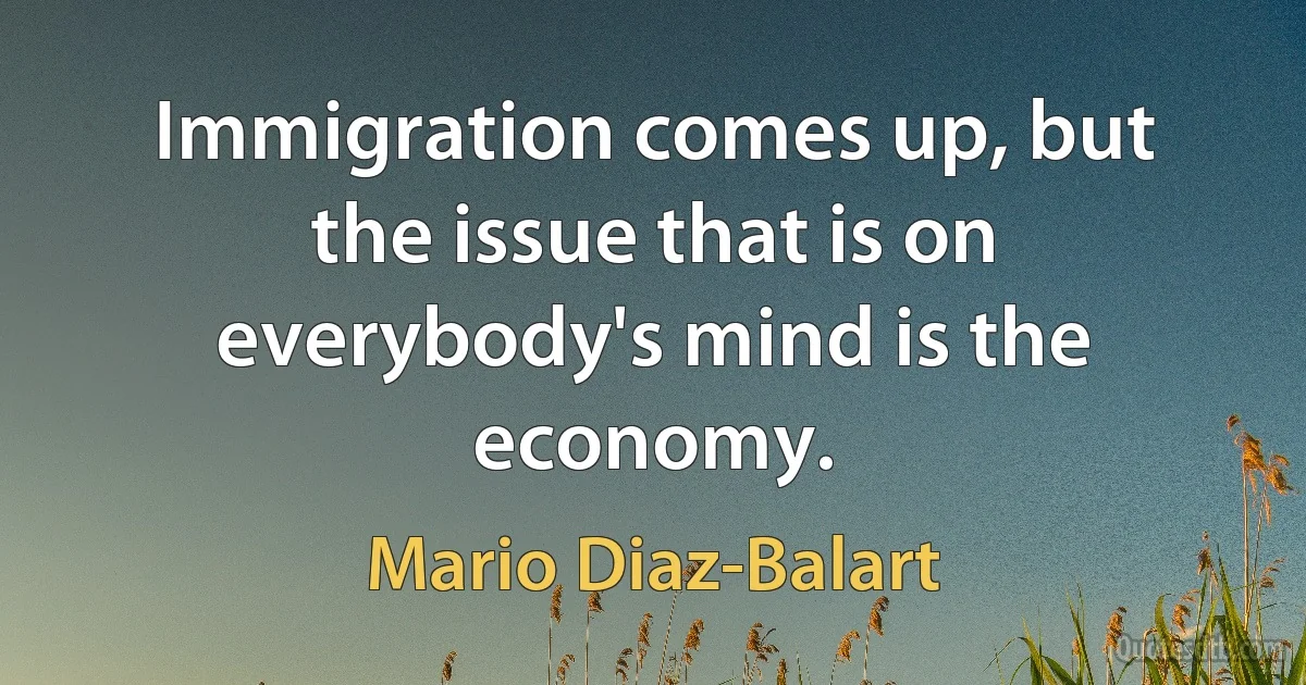 Immigration comes up, but the issue that is on everybody's mind is the economy. (Mario Diaz-Balart)