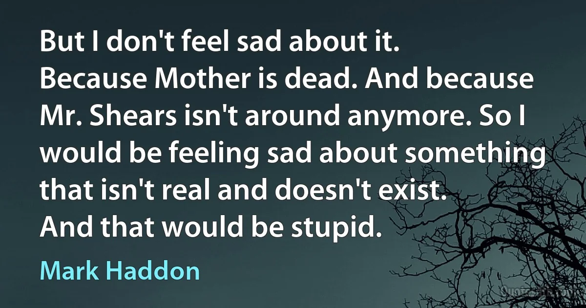 But I don't feel sad about it. Because Mother is dead. And because Mr. Shears isn't around anymore. So I would be feeling sad about something that isn't real and doesn't exist. And that would be stupid. (Mark Haddon)