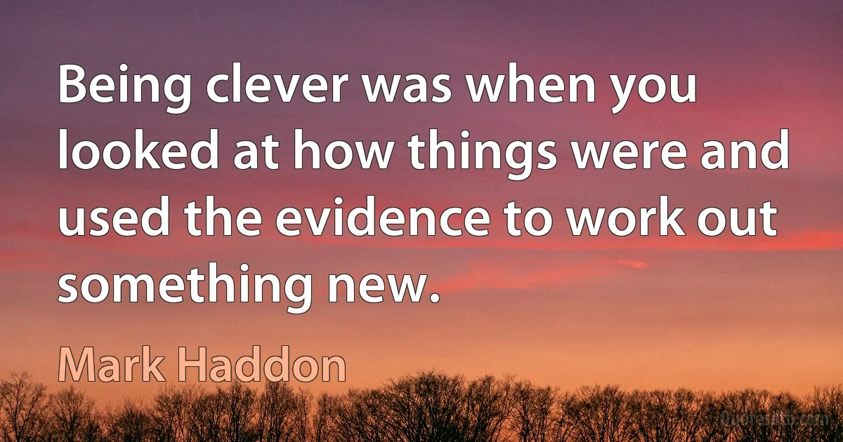 Being clever was when you looked at how things were and used the evidence to work out something new. (Mark Haddon)