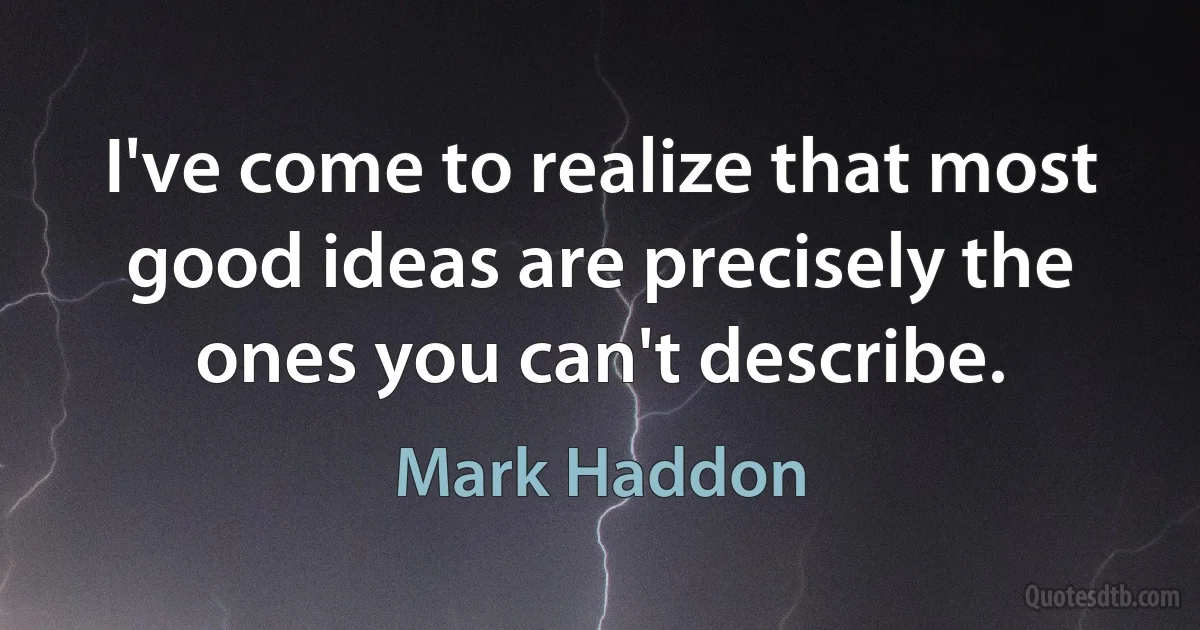 I've come to realize that most good ideas are precisely the ones you can't describe. (Mark Haddon)