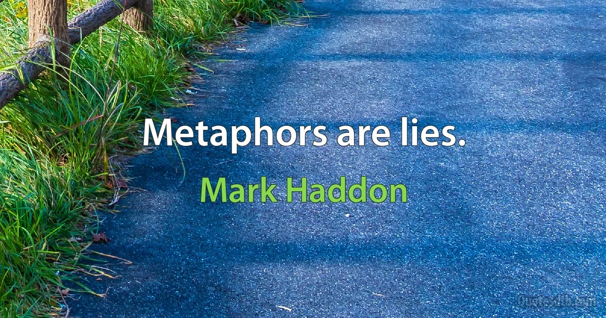 Metaphors are lies. (Mark Haddon)