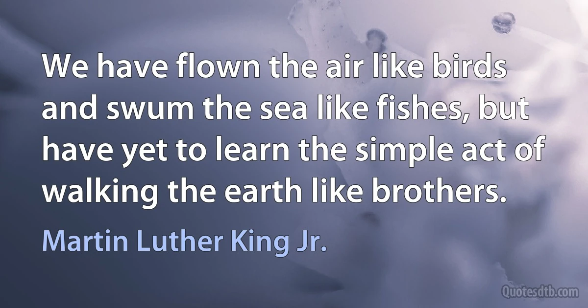 We have flown the air like birds and swum the sea like fishes, but have yet to learn the simple act of walking the earth like brothers. (Martin Luther King Jr.)