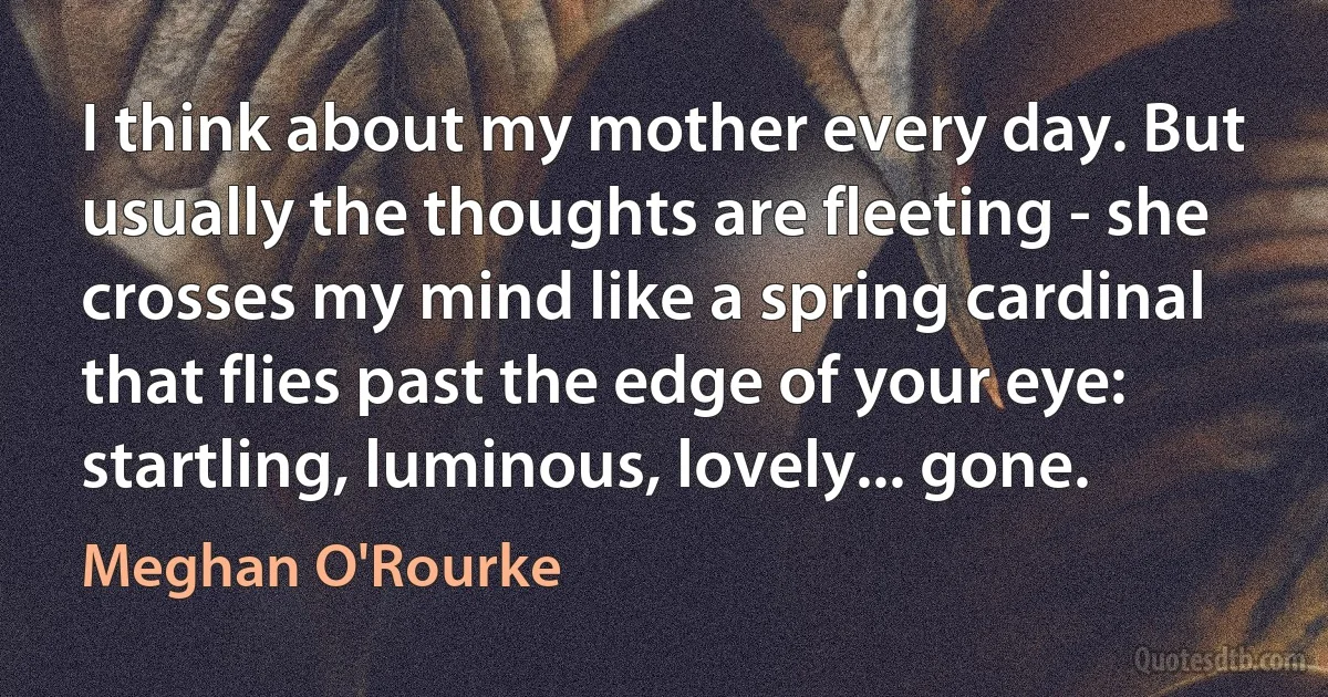 I think about my mother every day. But usually the thoughts are fleeting - she crosses my mind like a spring cardinal that flies past the edge of your eye: startling, luminous, lovely... gone. (Meghan O'Rourke)