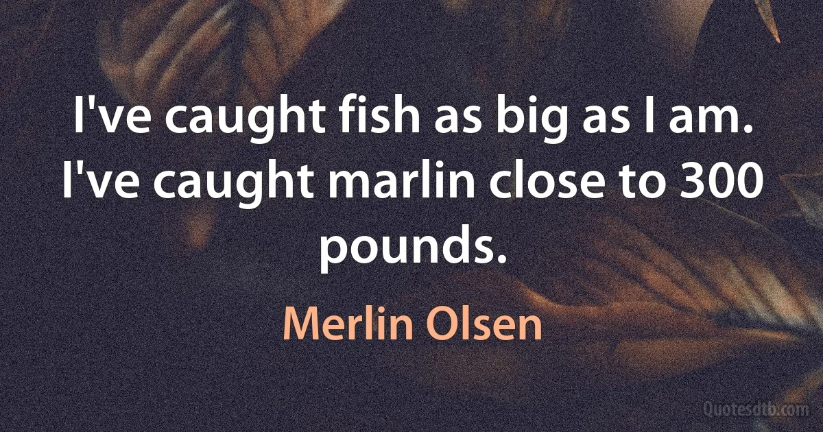 I've caught fish as big as I am. I've caught marlin close to 300 pounds. (Merlin Olsen)