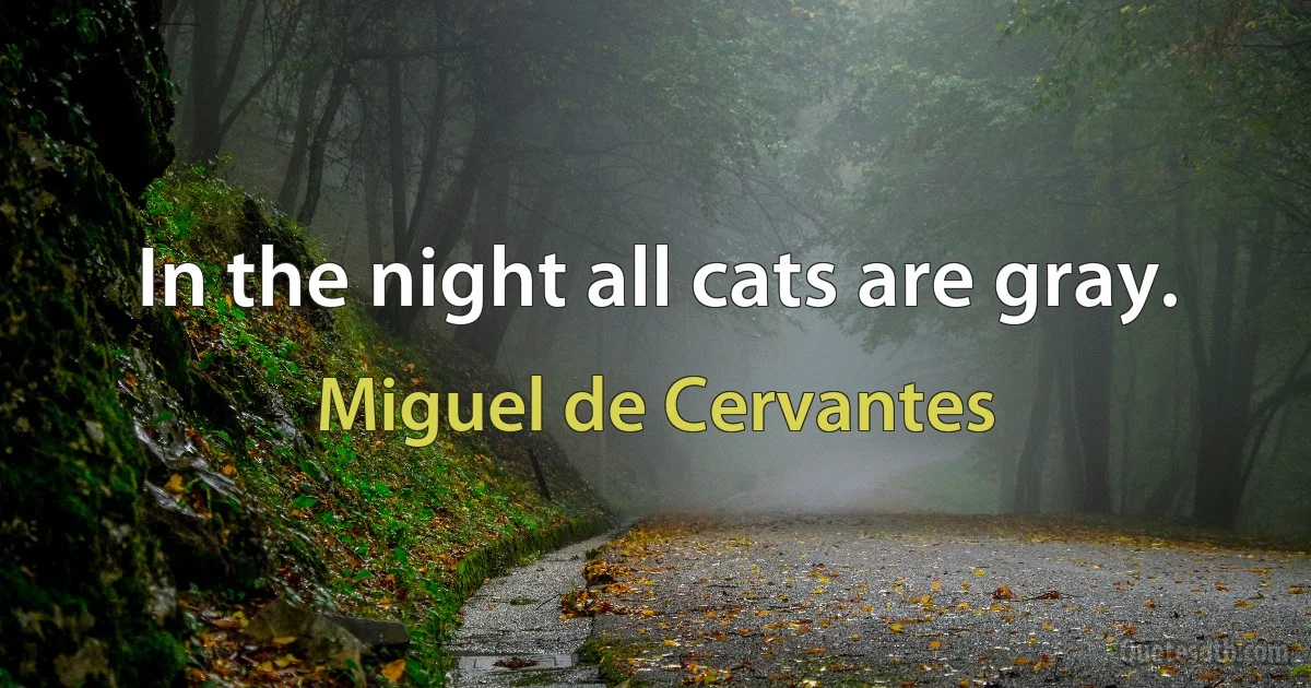 In the night all cats are gray. (Miguel de Cervantes)