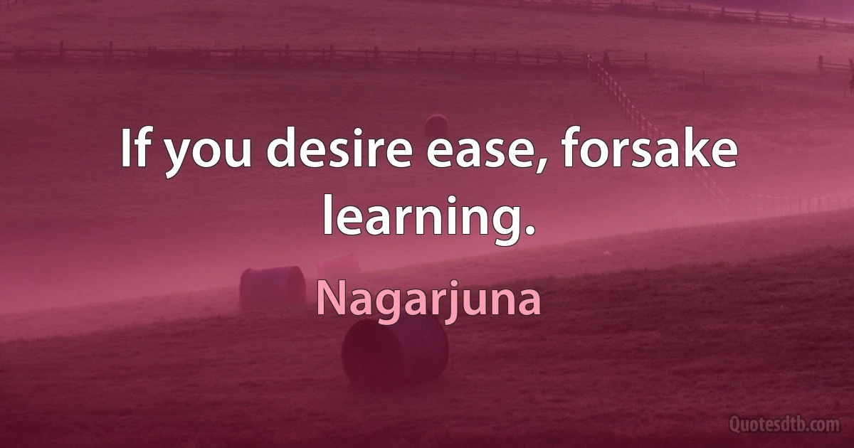 If you desire ease, forsake learning. (Nagarjuna)