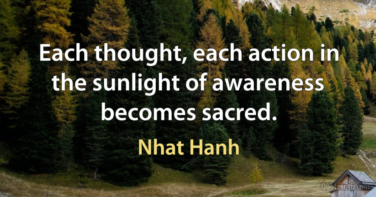 Each thought, each action in the sunlight of awareness becomes sacred. (Nhat Hanh)